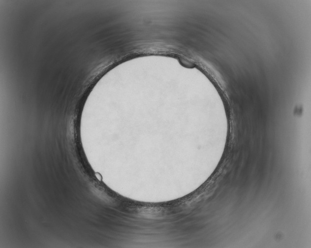 X0000116510105201001201453