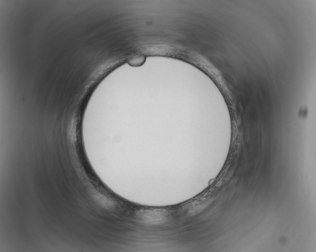 X0000116510106201001201453