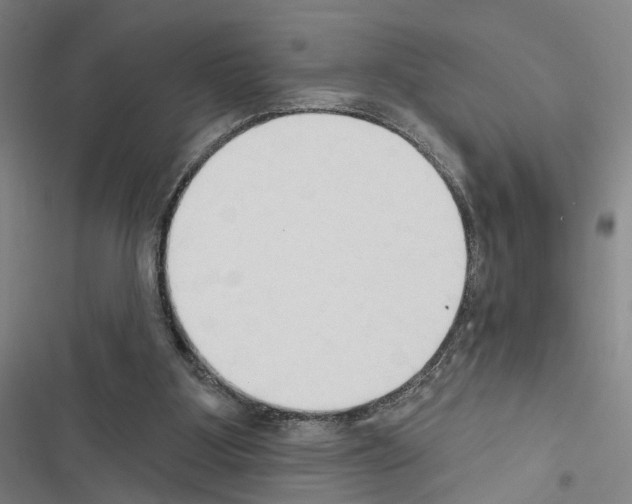 X0000116510107201001201453