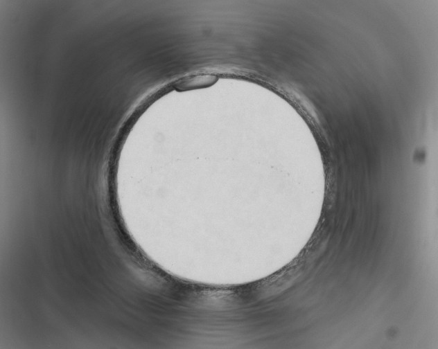 X0000116510108201001201453