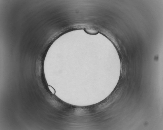 X0000116510109201001201453