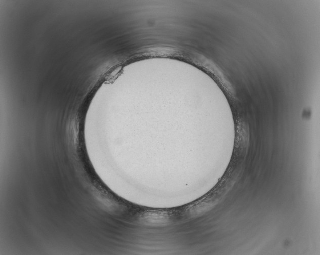 X0000116510110201001201453
