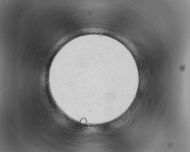 X0000116510111201001201453