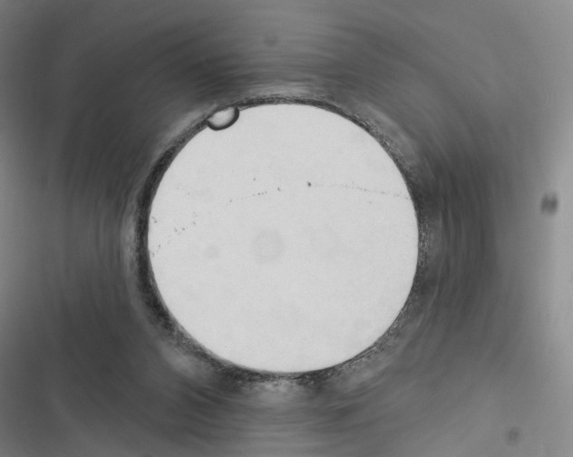 X0000116510112201001201453
