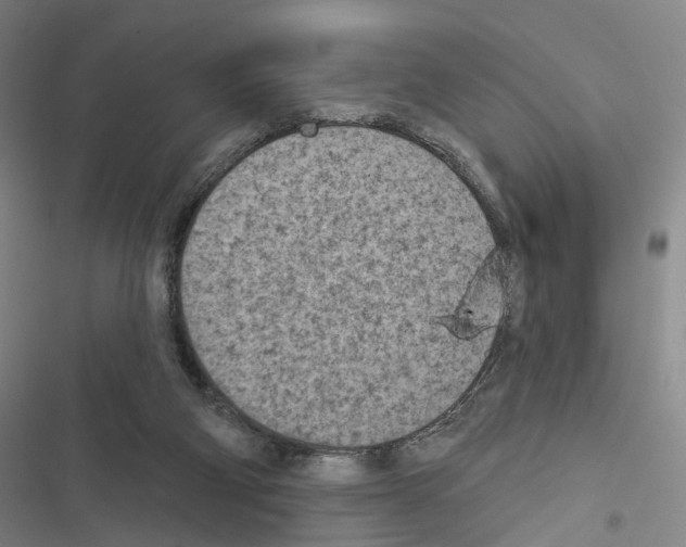 X0000116510114201001201453