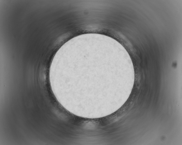 X0000116510115201001201453