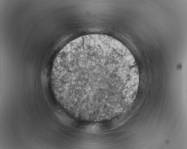 X0000116510116201001201453