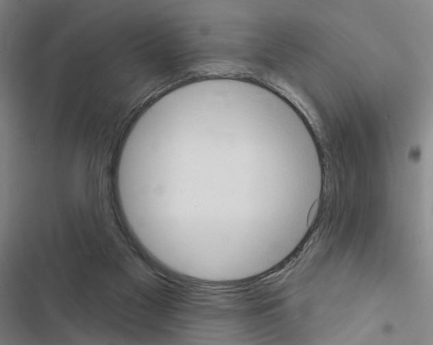 X0000116510117201001201453