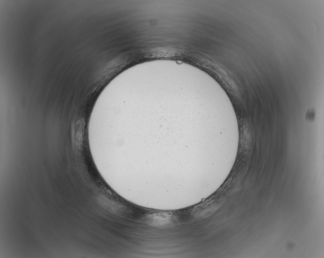 X0000116510118201001201453