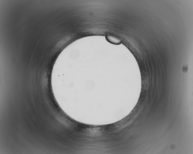 X0000116510120201001201453