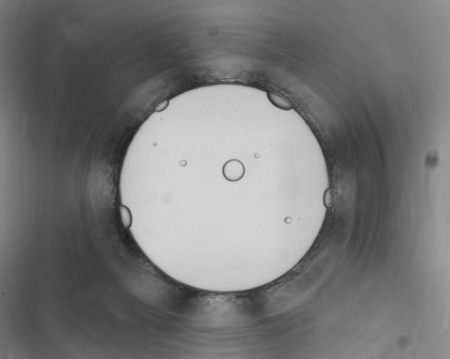 X0000116510121201001201453