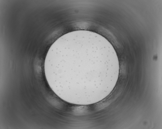 X0000116510122201001201453