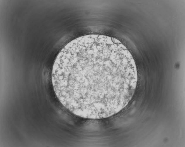 X0000116510123201001201453