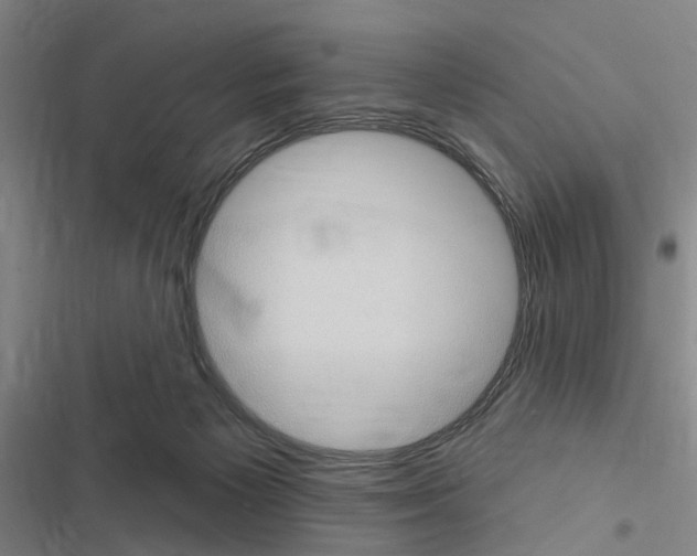 X0000116510125201001201453