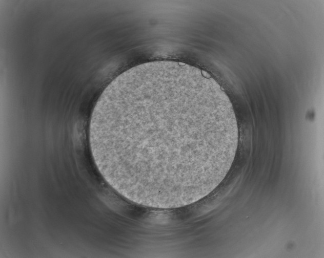 X0000116510127201001201453
