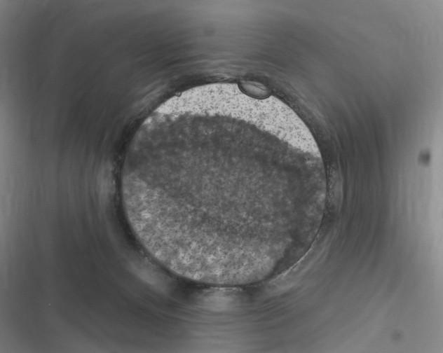 X0000116510128201001201453