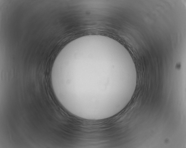 X0000116510129201001201453