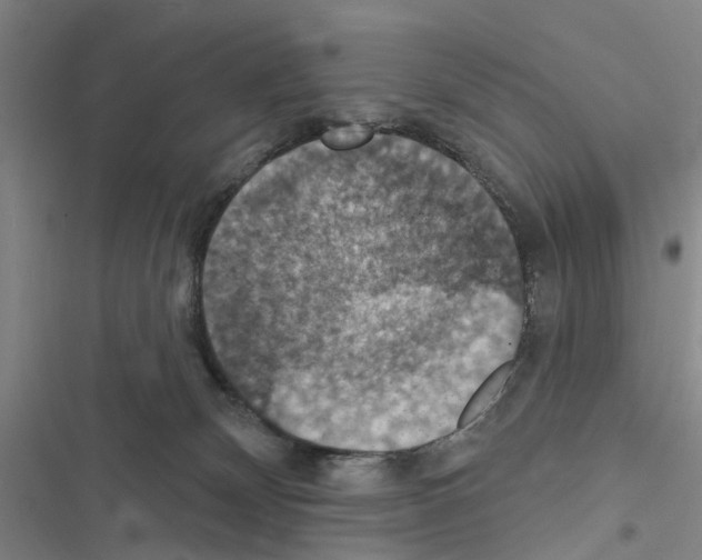 X0000116510132201001201453
