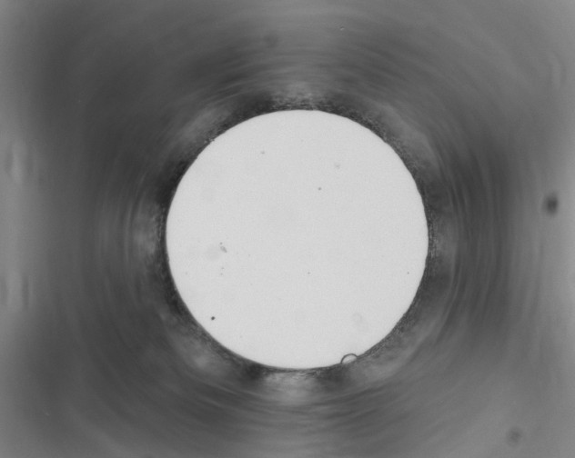 X0000116510133201001201453