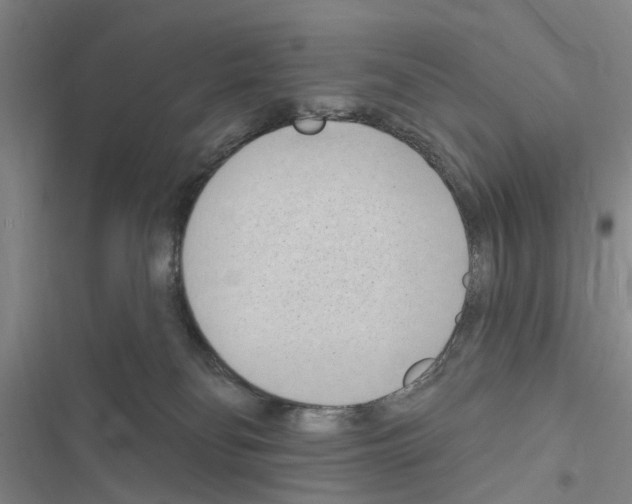 X0000116510134201001201453