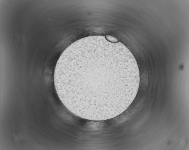 X0000116510135201001201453