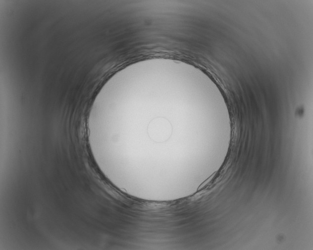 X0000116510137201001201453