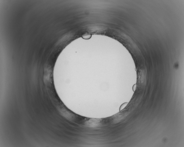 X0000116510138201001201453