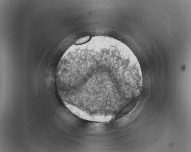 X0000116510140201001201453