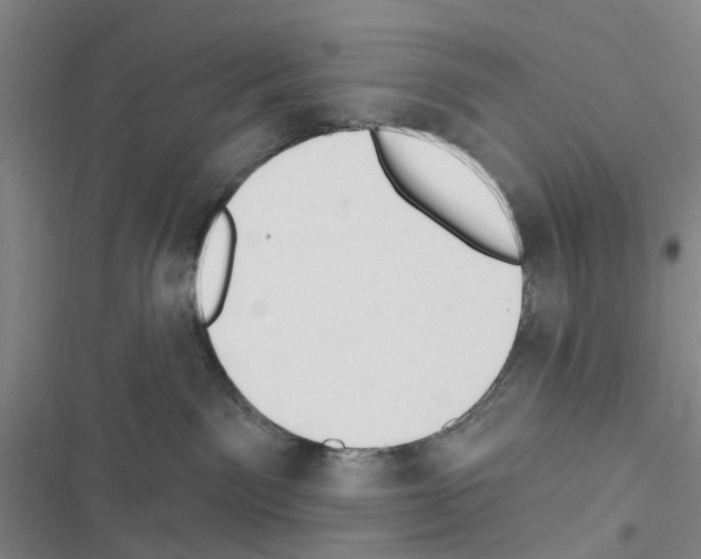 X0000116510141201001201453