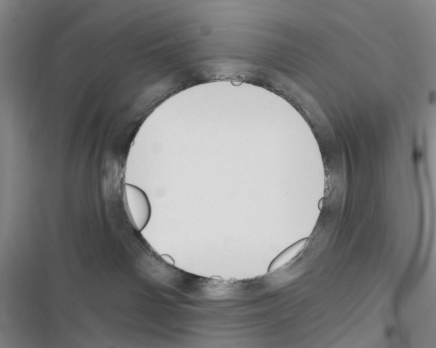 X0000116510142201001201453