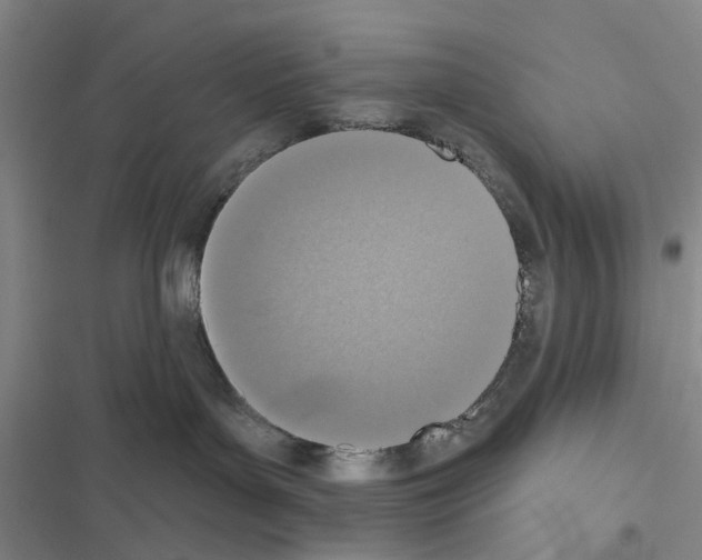 X0000116510143201001201453