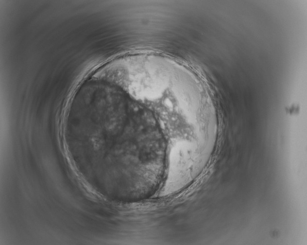 X0000116510145201001201452