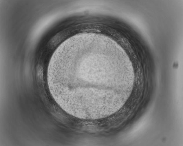 X0000116510146201001201452