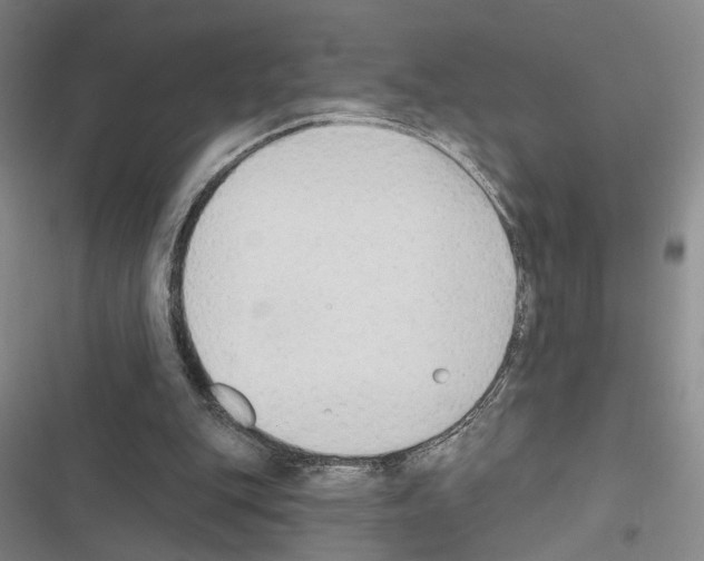 X0000116510151201001201452