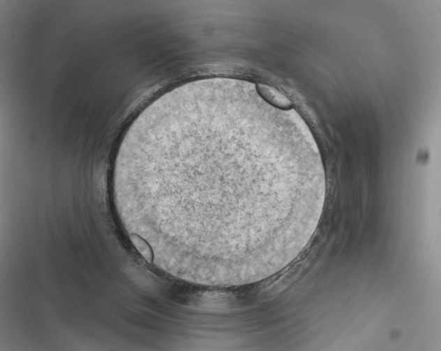 X0000116510154201001201452