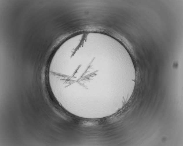 X0000116510155201001201452