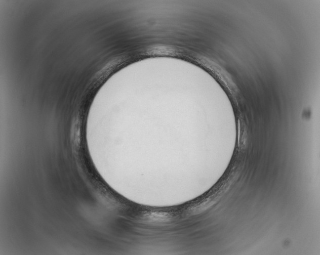 X0000116510157201001201452