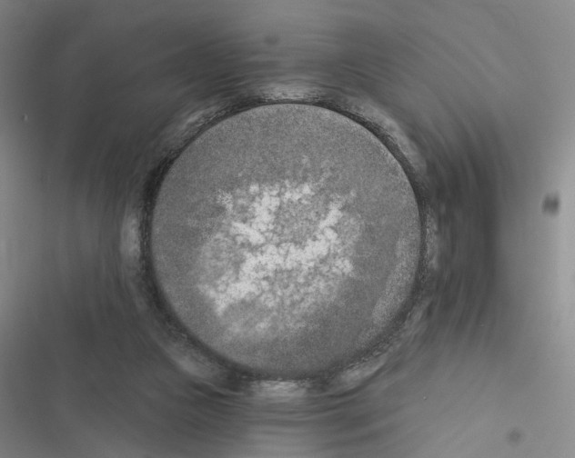 X0000116510161201001201452
