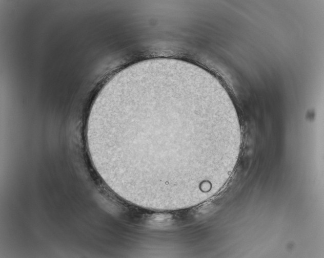X0000116510162201001201452