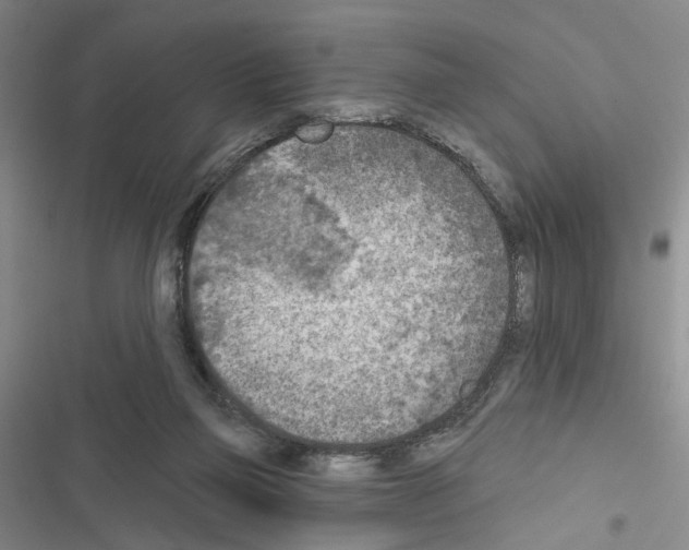 X0000116510165201001201452