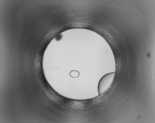X0000116510166201001201452