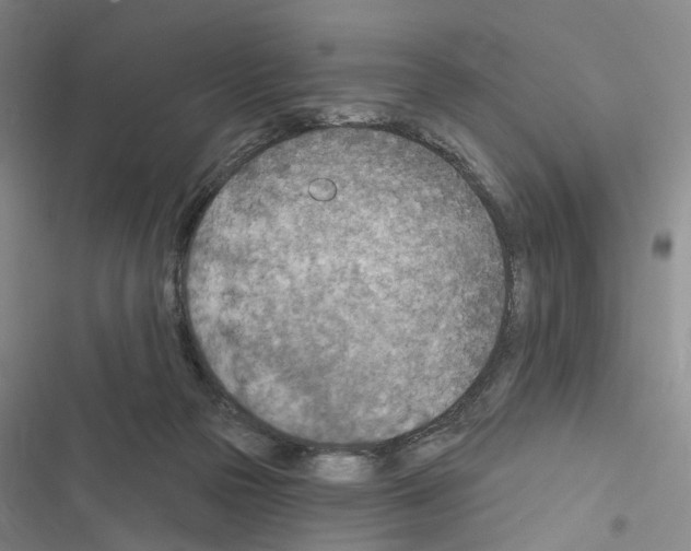 X0000116510169201001201452