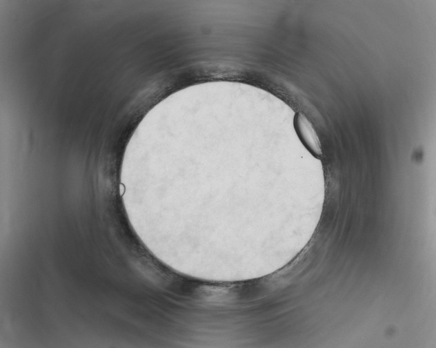 X0000116510170201001201452