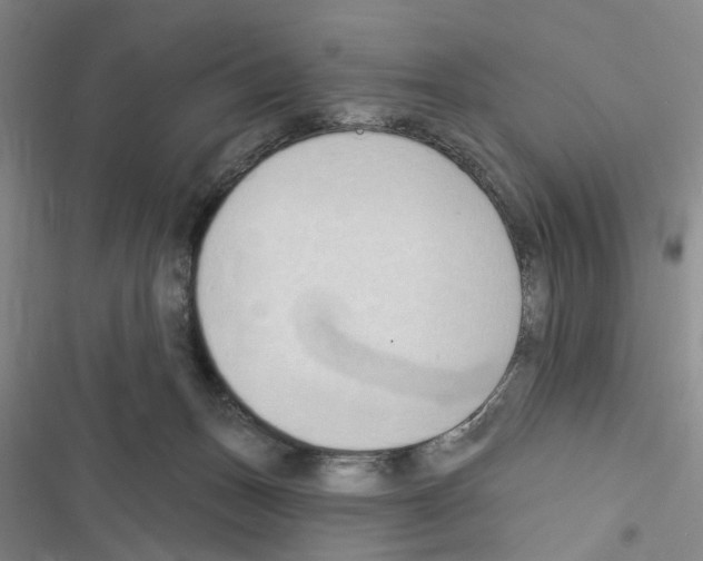 X0000116510175201001201452