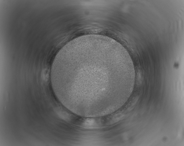 X0000116510177201001201453