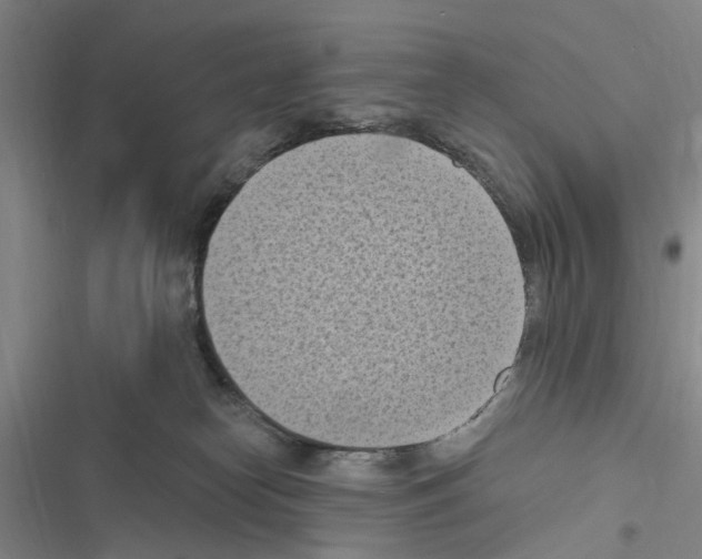 X0000116510182201001201453