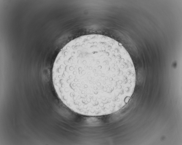 X0000116510183201001201453