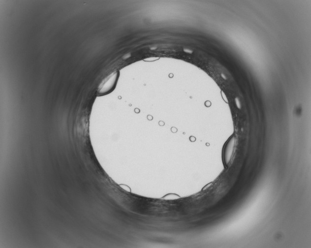X0000116510190201001201453