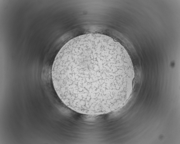 X0000116510191201001201453