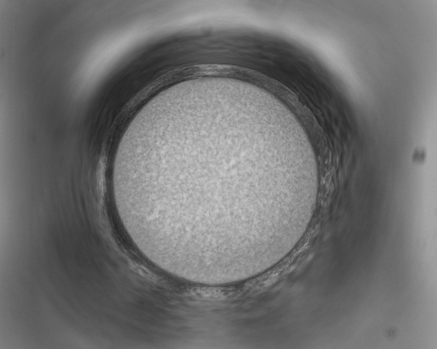 X0000116510194201001201452